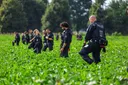 Germany probes fresh suspected power grid sabotage