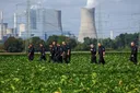 'Activist’ die terroristische aanslagen op Duitse infrastructuur beraamde doelt ook op Nederland