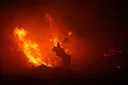 Emisi kebakaran hutan di Indonesia melonjak ke level tertinggi dunia, terparah dalam 11 tahun