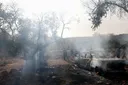 EU, Canada condemn Israeli settler attacks on Palestinians, European diplomats