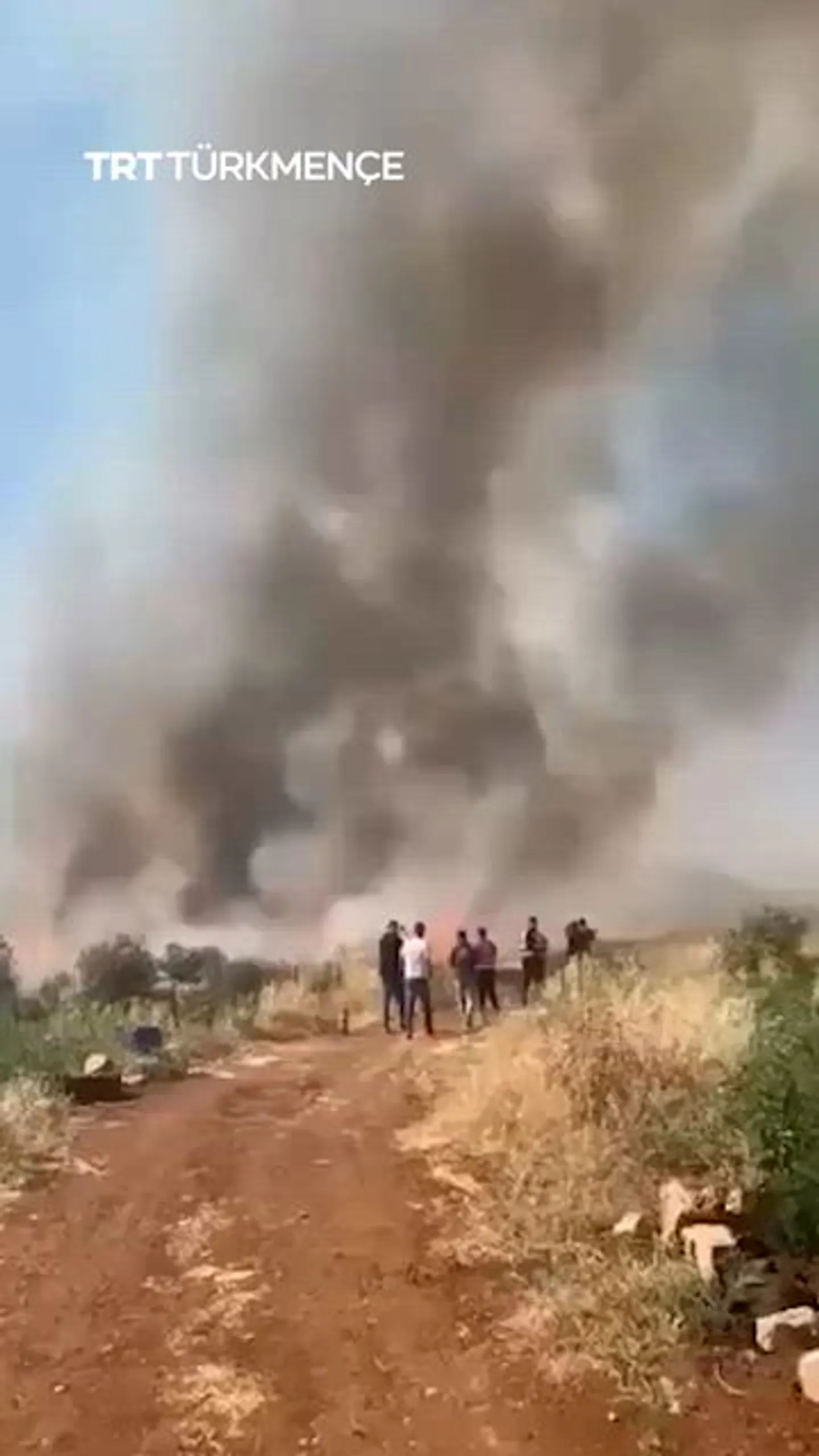 Ysraýylly gelmişekler palestinlilere degişli ekin meýdanlaryny oda berdi