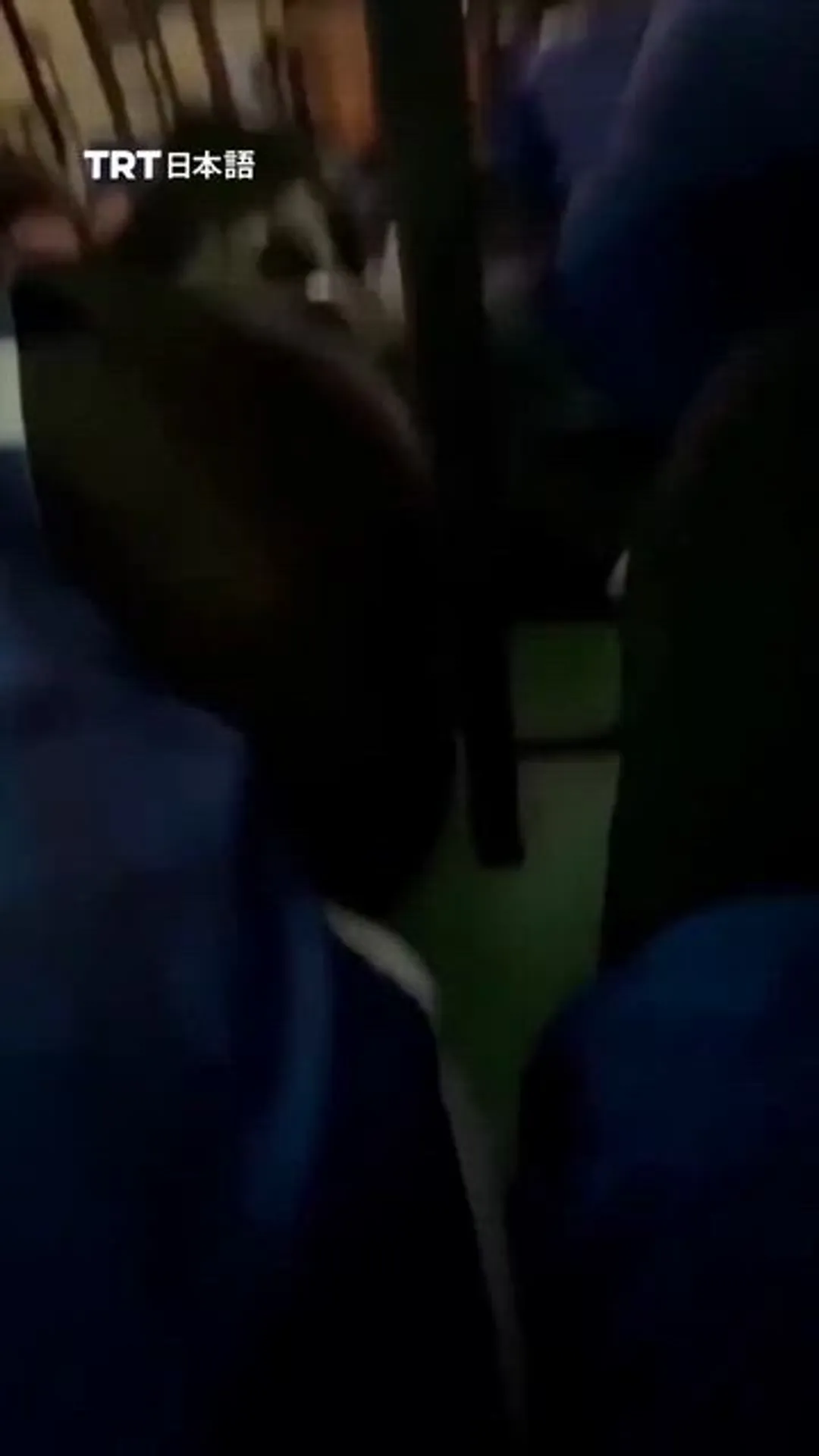 タイの学校襲撃で少なくとも7人死亡　少年容疑者も死亡