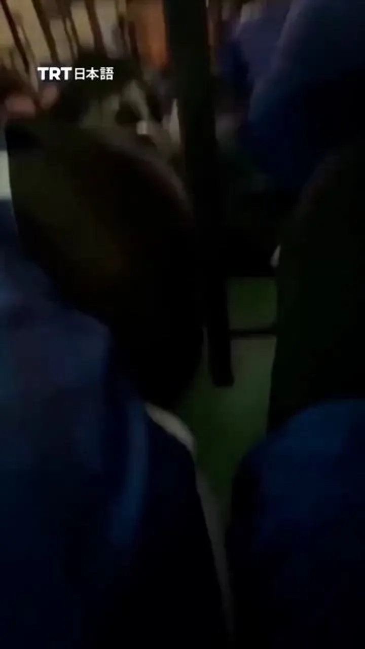 タイの学校襲撃で少なくとも7人死亡　少年容疑者も死亡