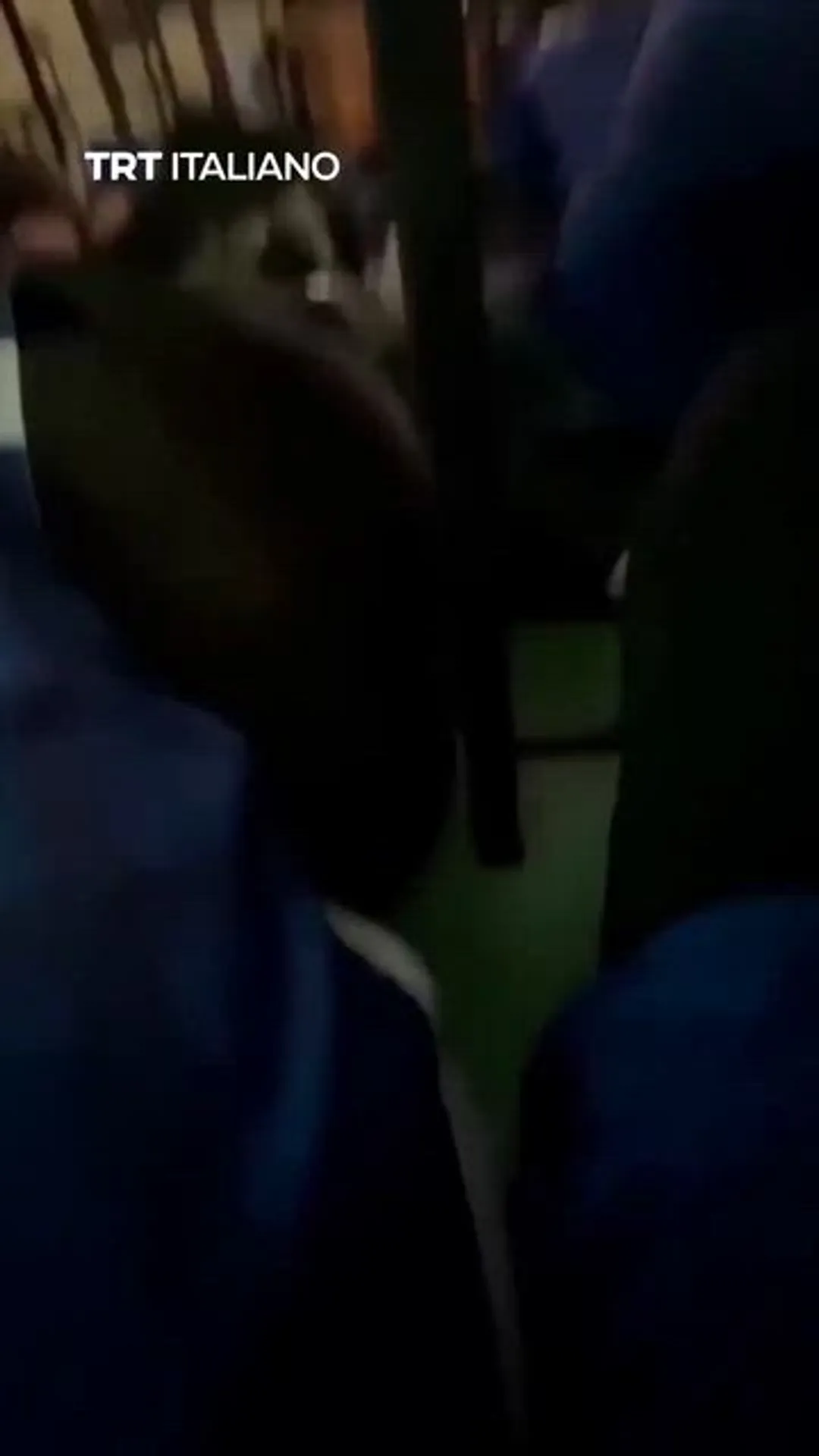 Thailandia, otto morti e almeno 23 feriti in una sparatoria a scuola